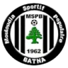 MSP Batna