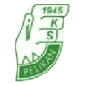 Pelikan Łowicz