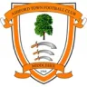 Ashford Town (Middlesex)