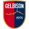 Gelbison